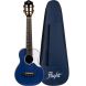 Flight IRIS CONCERT DB