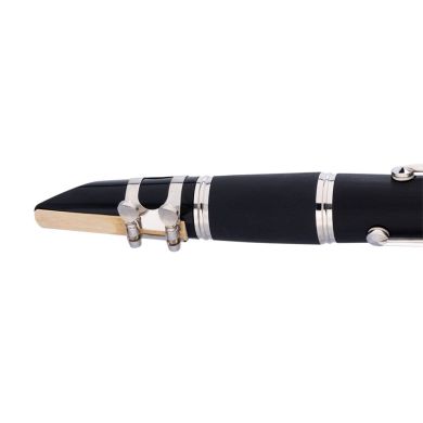 STAGG P WS-CL210S 89521 фото