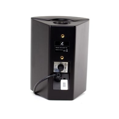 Всепогодна настінна акустична система 4all Audio WS 530IP TB 83799 фото