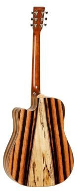 Електроакустична гітара TANGLEWOOD TJ5 CE 89218 фото