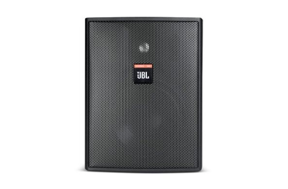 Всепогодна настінна акустична система JBL Control 25AV-LS C25AV-LS фото