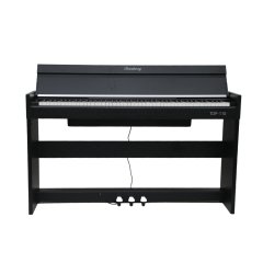 TDP-110 BK 89577 фото