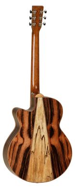 Електроакустична гітара TANGLEWOOD TJ4 CE 89023 фото