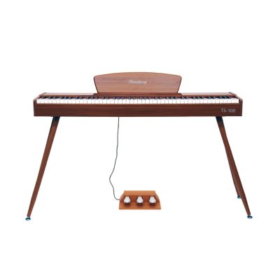 TS-100 WD 89580 фото