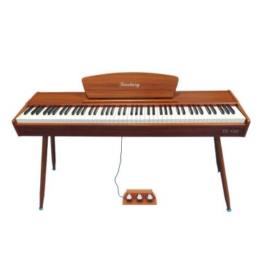 TS-100 WD 89580 фото