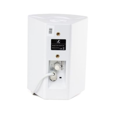 Настінна 2-смугова акустична система 4all Audio WS 530IP TW 83751 фото