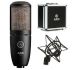 Студійний мікрофон AKG P220
