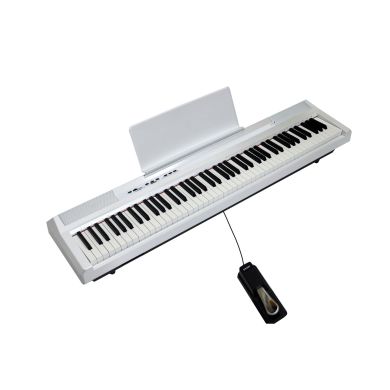 TK-20 WH 89648 фото