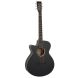 TANGLEWOOD TB4 CE