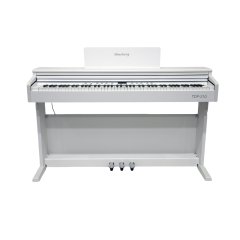 TDP-210 WH 89650 фото