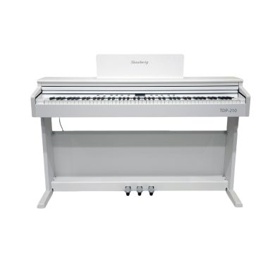 TDP-210 WH 89650 фото