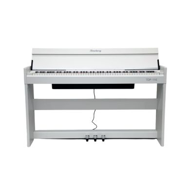 Корпусні цифрові піаніно 89651 фото