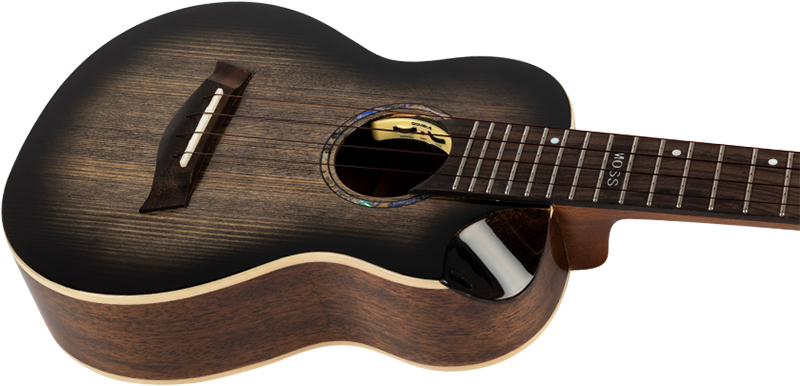 Flight PETER MOSS SIGNATURE EQ-A CONCERT