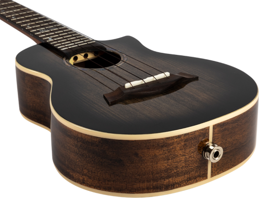 Flight PETER MOSS SIGNATURE EQ-A CONCERT